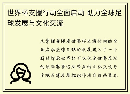 世界杯支援行动全面启动 助力全球足球发展与文化交流